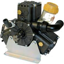 Bertolini Pumps