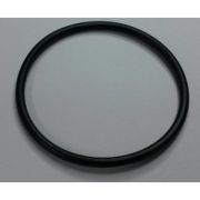 Hardi O-Ring - 73mm x 3.5mm (VITON) - HA241953