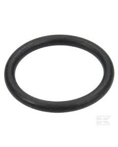 Udor Pump Valve O-Ring (600677)