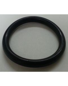 AR Pump Valve O-Ring