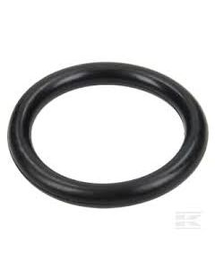 Comet Pump O-Ring 37 x 6